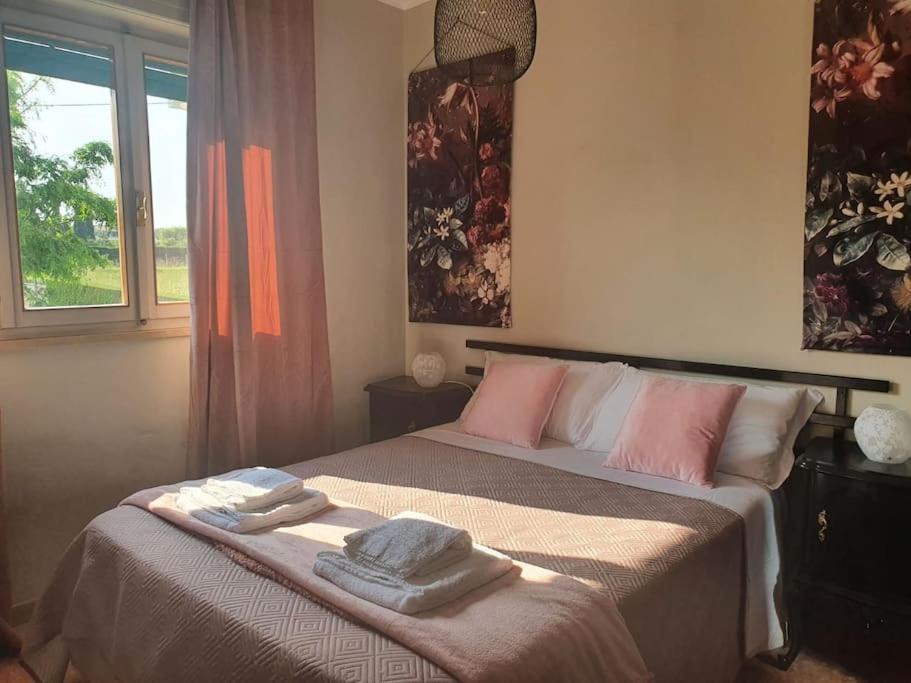Molo - Residenza Con Accesso Diretto Al Lago Lazise Bagian luar foto