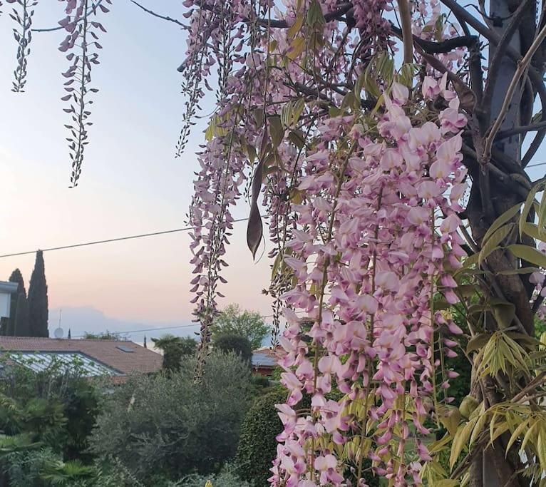 Molo - Residenza Con Accesso Diretto Al Lago Lazise Bagian luar foto